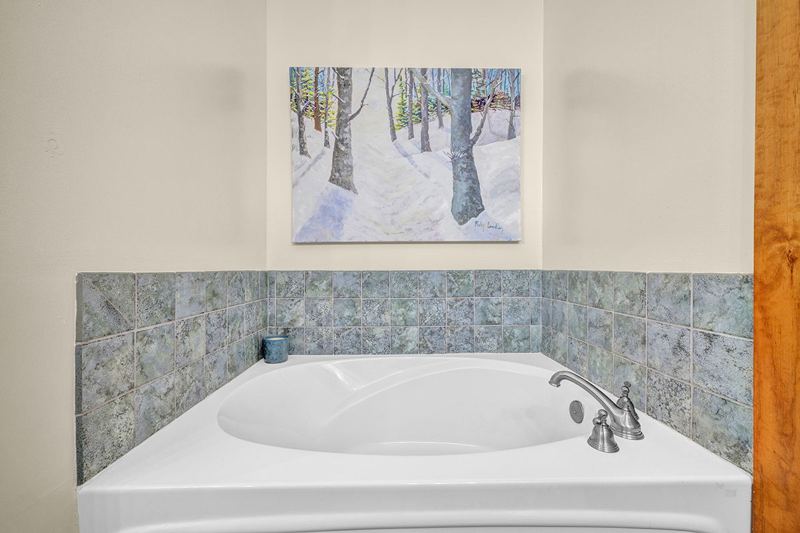 Master Bathroom jacuzzi tub