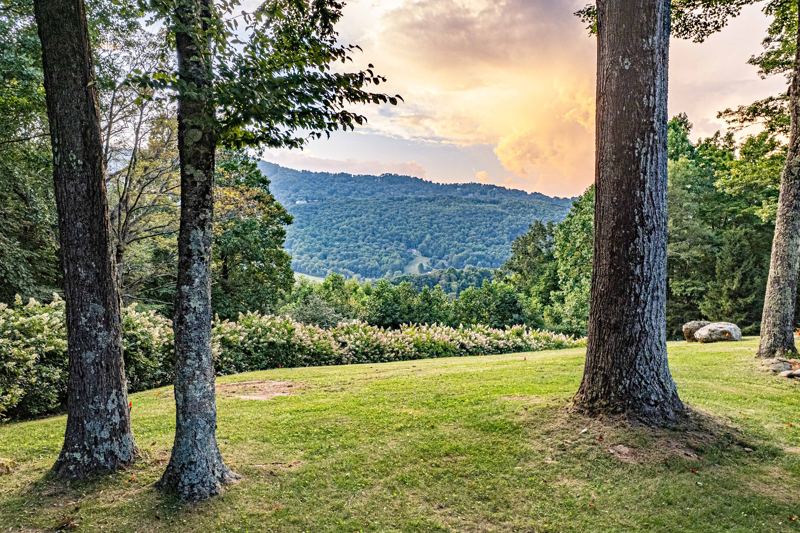 Perfect backdrop for a micro wedding (20 people or less) or event!  Additional fees apply.