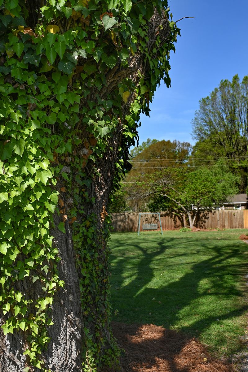 The Garden House