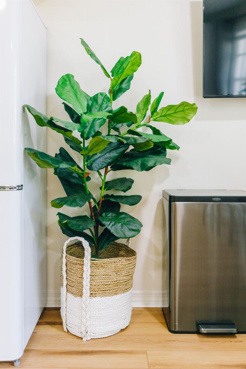 Decor
